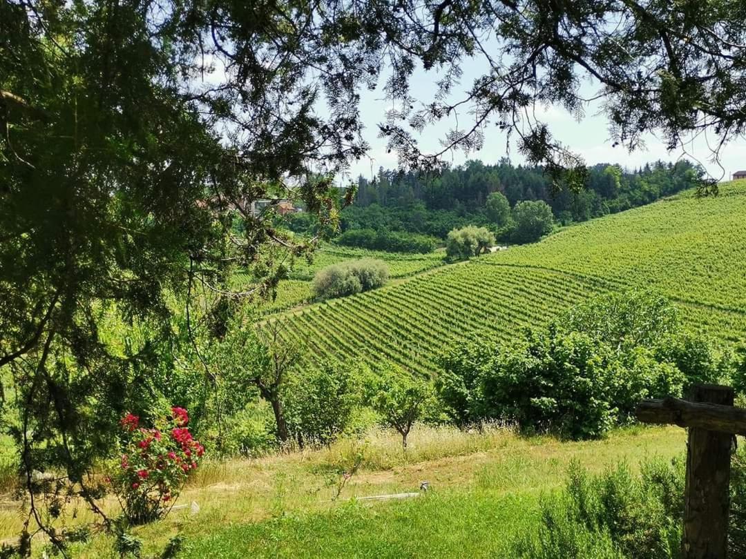 Cascina Valtignosa Camere Con Vigna Cassine Exterior foto