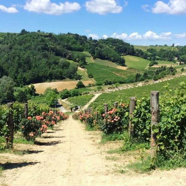 Cascina Valtignosa Camere Con Vigna Cassine Exterior foto