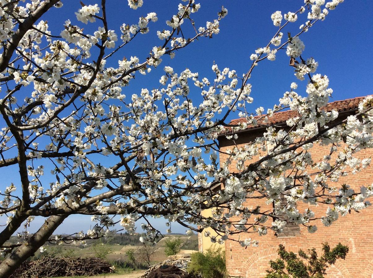 Cascina Valtignosa Camere Con Vigna Cassine Exterior foto
